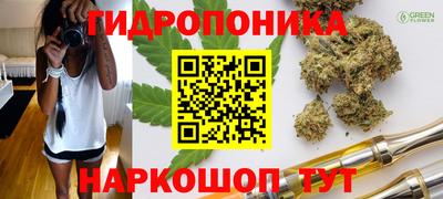 шишки Кулебаки