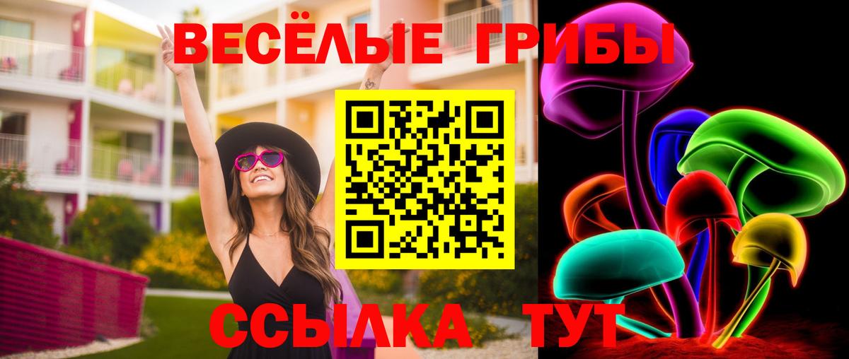Татарск  Галлюциногенные грибы Psilocybe  Вход с VPN 